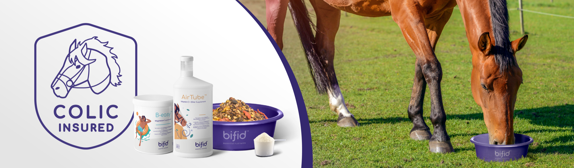 bifid colic insurance